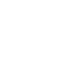 联系点域信息技术顾问